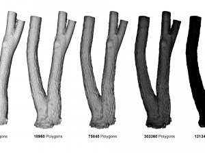 tree trunk - 06 3D Модель