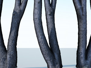 tree trunk - 06 3D Модель