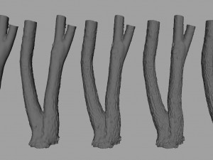 tree trunk - 06 3D Модель