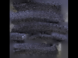 tree trunk - 06 3D Модель