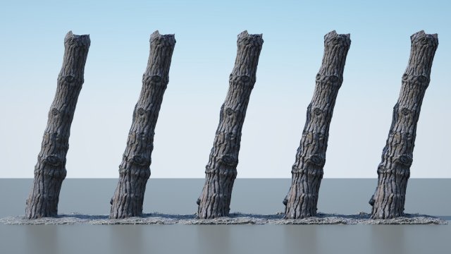 tree trunk - 07 3D Model .c4d .max .obj .3ds .fbx .stl .blend 