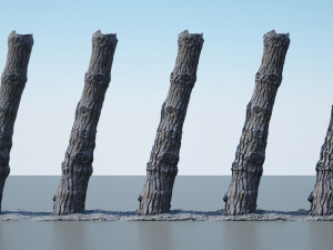 tree trunk - 07 3D Model