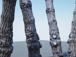 tree trunk - 07 3D Model