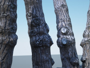 tree trunk - 07 3D Model