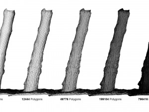 tree trunk - 07 3D Model