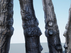 tree trunk - 07 3D Model