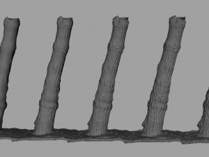 tree trunk - 07 3D Model