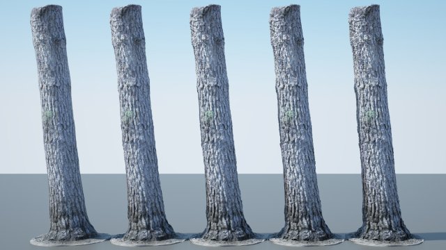 tree trunk - 08 Modèle 3D .c4d .max .obj .3ds .fbx .stl .blend 