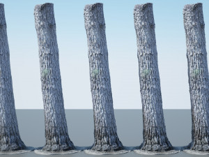 tree trunk - 08 3D Model