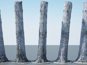 tree trunk - 08 Modèle 3D