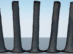 tree trunk - 08 Modèle 3D