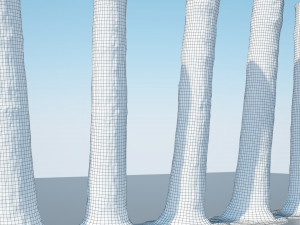 tree trunk - 08 Modèle 3D