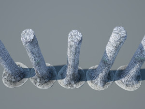 tree trunk - 08 Modèle 3D