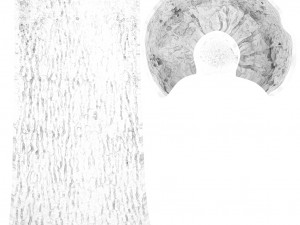 tree trunk - 08 Modèle 3D