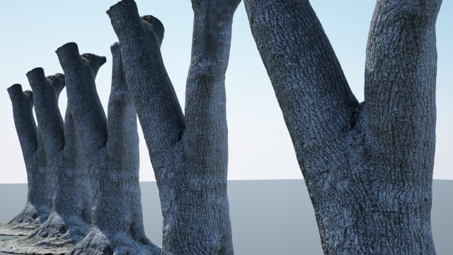 tree trunk - 09 Modelo 3D .c4d .max .obj .3ds .fbx .stl .blend 