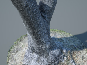 tree trunk - 09 Modelo 3D