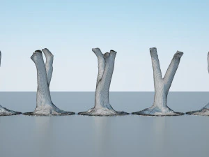 tree trunk - 09 3D Model