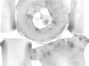 tree trunk - 09 3D Model