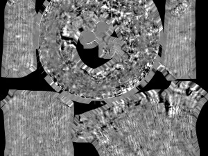 tree trunk - 09 3D Model