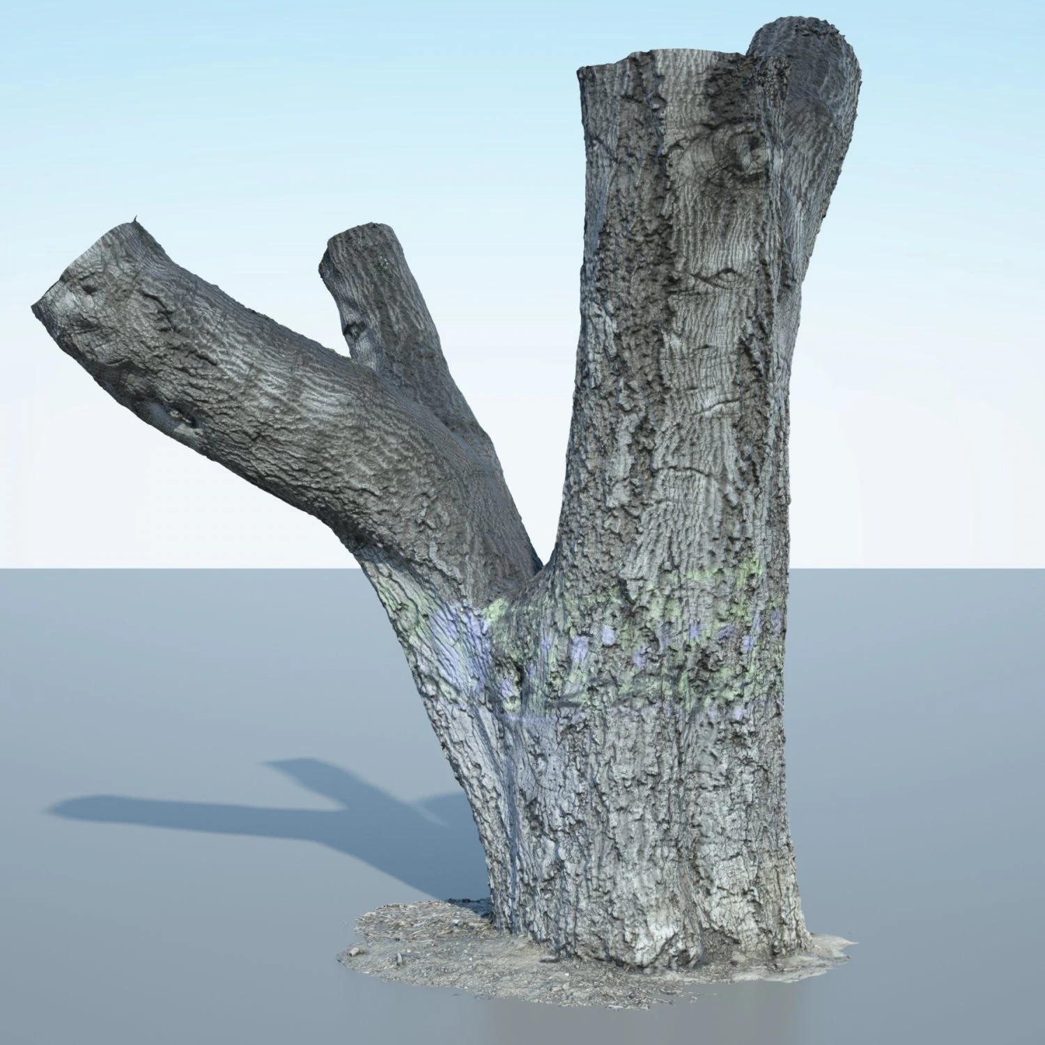 tree trunk - 10 3D Model .c4d .max .obj .3ds .fbx .stl .blend