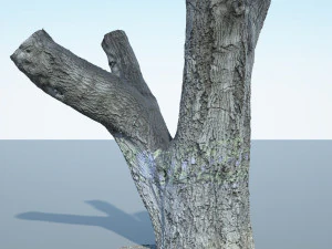 tronco de &aacute;rvore - 10 Modelo 3D