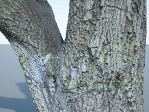 tree trunk - 10 3D Model