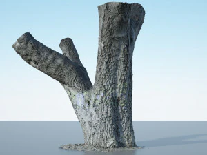 tree trunk - 10 3D Model