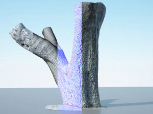 tree trunk - 10 3D Model