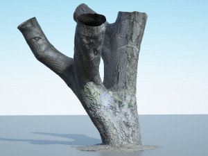 tree trunk - 10 Modèle 3D