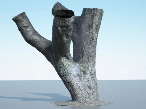 tree trunk - 10 3D Model