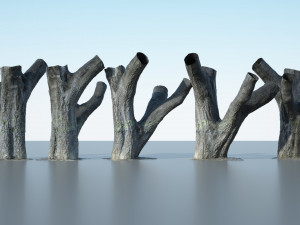 tree trunk - 10 Modèle 3D