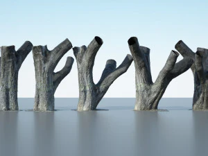 tree trunk - 10 3D Model
