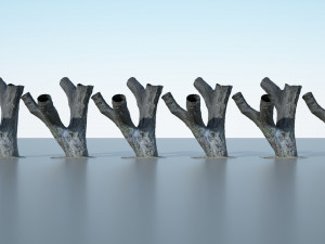 tree trunk - 10 Modèle 3D