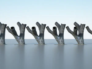 tree trunk - 10 3D Model