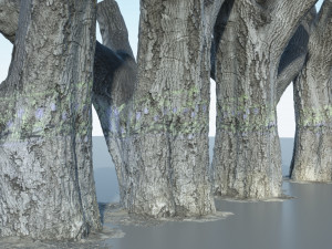 tree trunk - 10 Modèle 3D