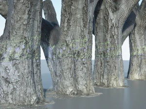 tree trunk - 10 3D Model