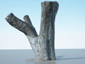 tree trunk - 10 3D Model
