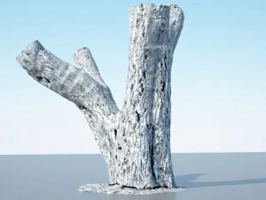 tree trunk - 10 3D Model