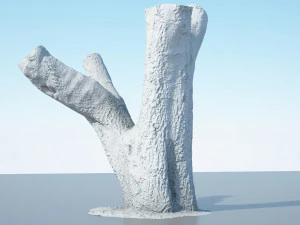 tree trunk - 10 3D Model