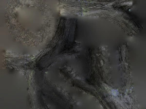 tree trunk - 10 3D Model
