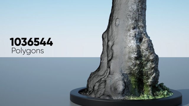 tree trunk - 11 Modèle 3D .c4d .max .obj .3ds .fbx .stl .blend 