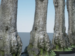 tree trunk - 11 Modèle 3D