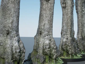 batang pohon - 11 Model 3D