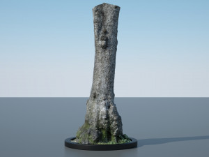 tree trunk - 11 Modèle 3D