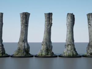 tree trunk - 11 Modèle 3D