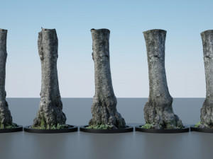 tree trunk - 11 Modèle 3D