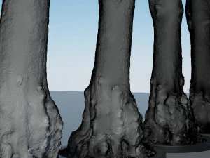 batang pohon - 11 Model 3D