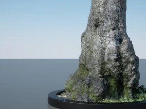 batang pohon - 11 Model 3D