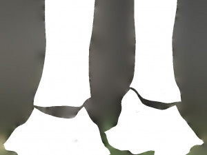 tree trunk - 11 Modèle 3D