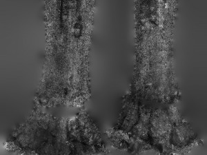 tree trunk - 11 Modèle 3D
